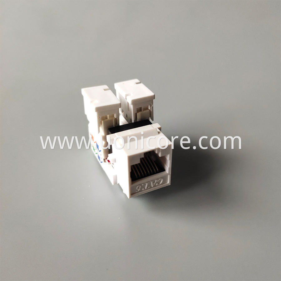 UTP Toolless cat6 jack